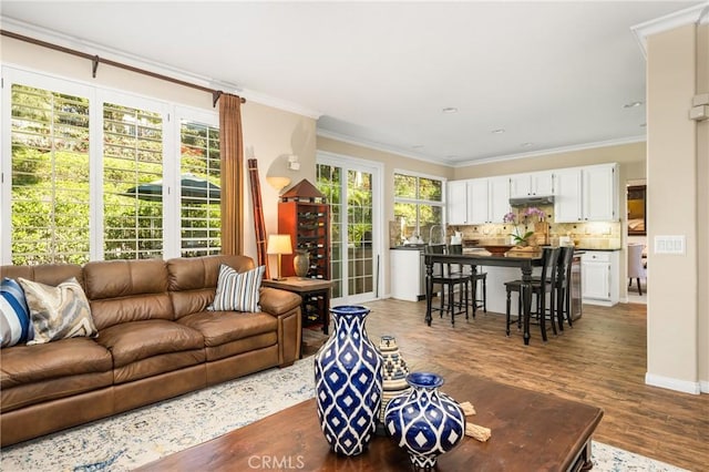 living area featuring crown molding, baseboards, and wood finished floors