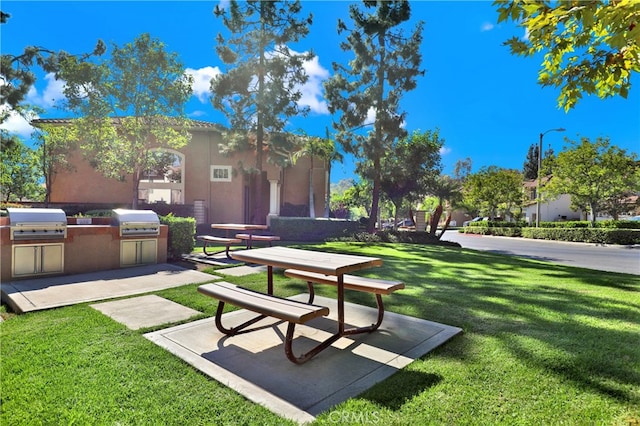 view of community featuring a lawn and area for grilling