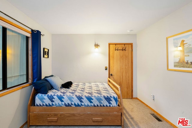 bedroom with carpet flooring