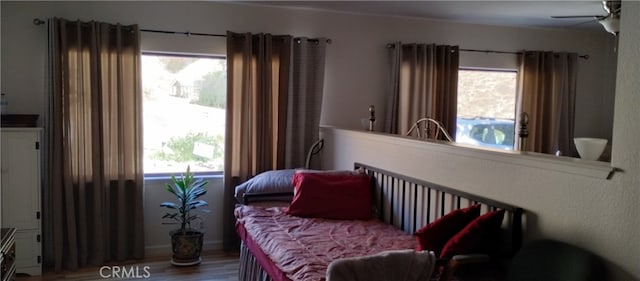 bedroom featuring ceiling fan, hardwood / wood-style flooring, and multiple windows