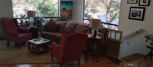 living room with wood-type flooring