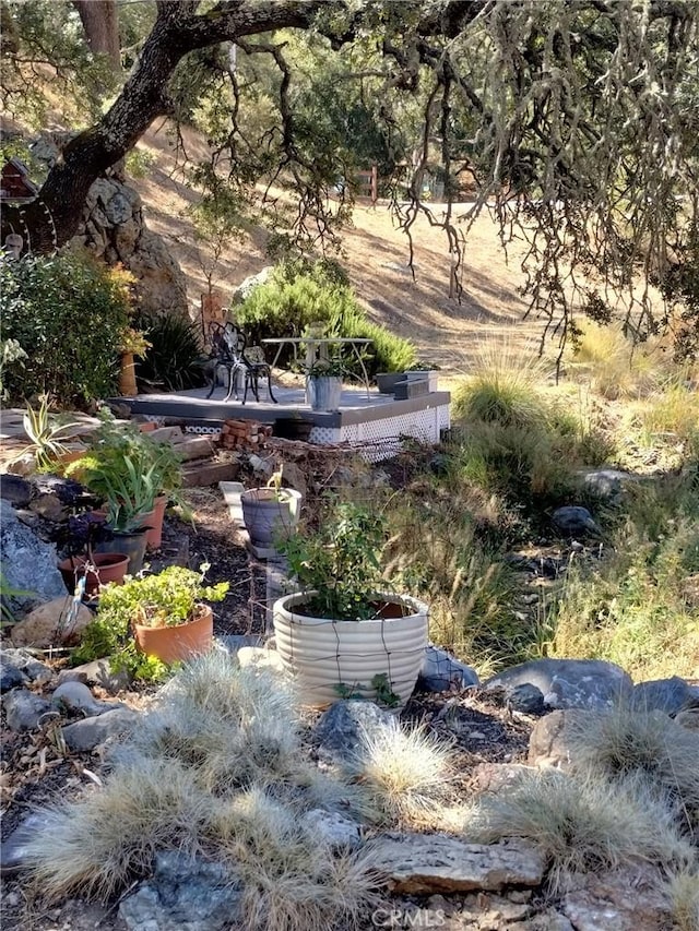 view of yard with a garden