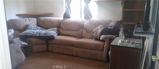 living area featuring carpet flooring