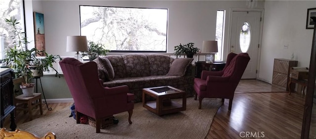 living area featuring wood finished floors