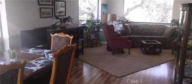 interior space with wood finished floors