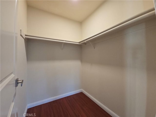 walk in closet featuring hardwood / wood-style flooring