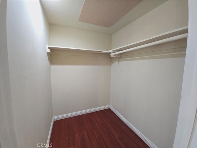 walk in closet with dark hardwood / wood-style floors