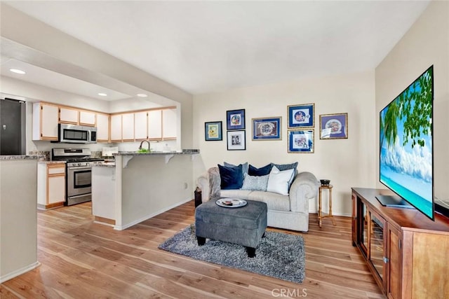 living room with light wood-type flooring