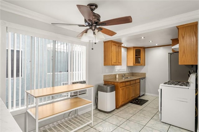 kitchen featuring ventilation hood, crown molding, sink, ceiling fan, and appliances with stainless steel finishes