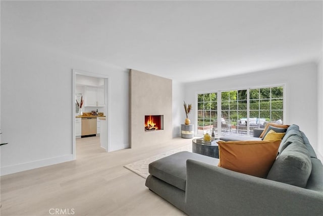 living room featuring a fireplace and light hardwood / wood-style flooring