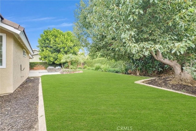 view of yard with a patio