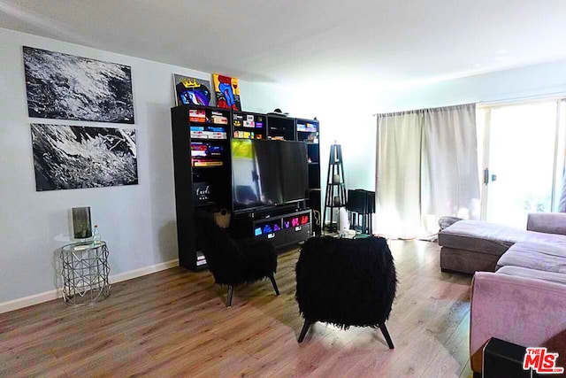 living room with hardwood / wood-style floors