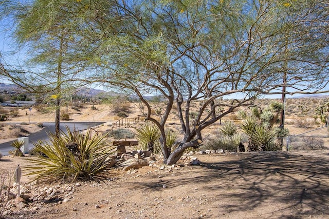 view of yard with a mountain view