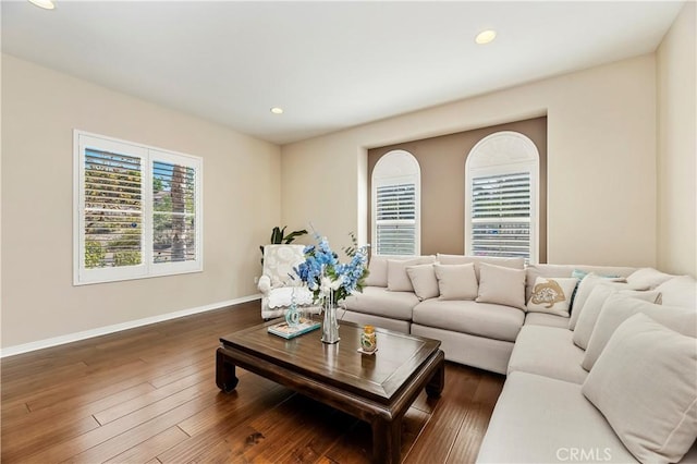 living room with dark hardwood / wood-style flooring