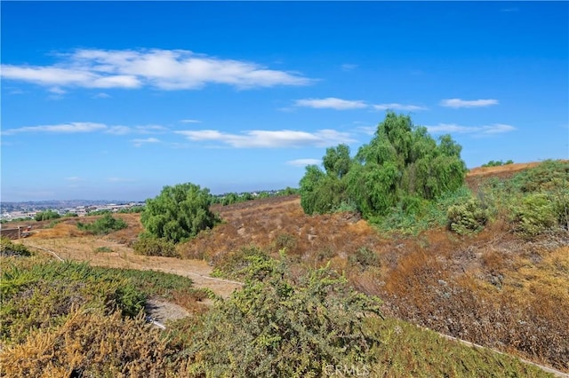 view of landscape featuring a rural view