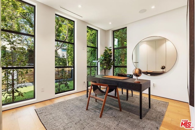 office area featuring a wealth of natural light, a wall of windows, and light hardwood / wood-style flooring