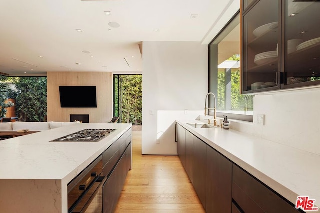 kitchen with sink, dark brown cabinets, light hardwood / wood-style floors, and a healthy amount of sunlight