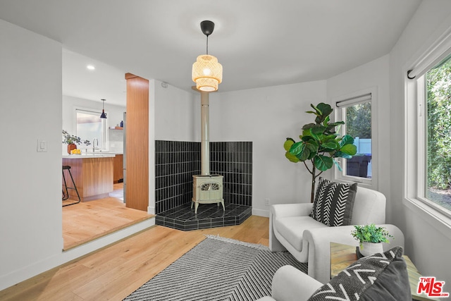 living area featuring sink and wood-type flooring