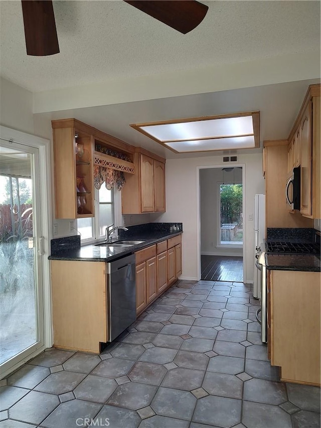 kitchen with light brown cabinetry, a healthy amount of sunlight, sink, and stainless steel appliances