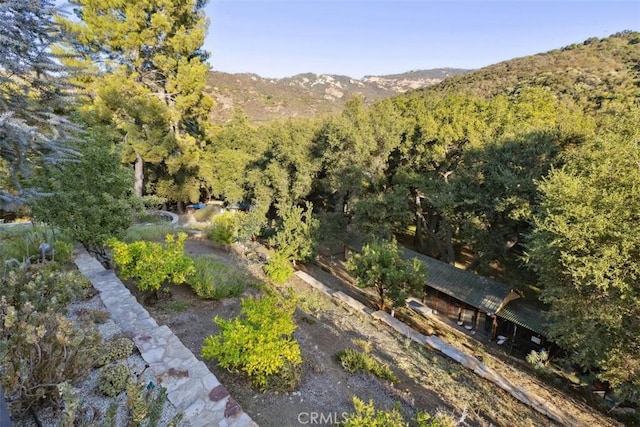 bird's eye view with a mountain view