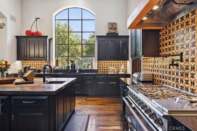 kitchen featuring sink, dark wood-type flooring, tasteful backsplash, premium range hood, and high end range