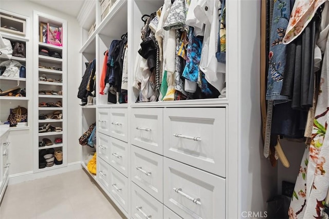 view of spacious closet