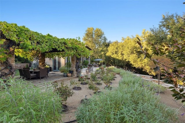 view of yard featuring a patio