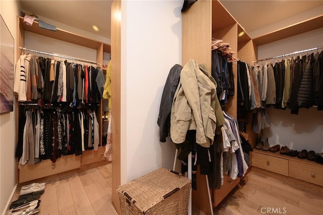 spacious closet featuring wood finished floors