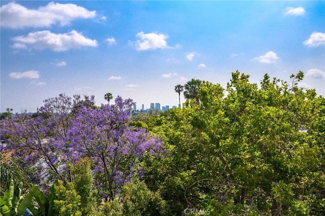 view of landscape featuring a city view