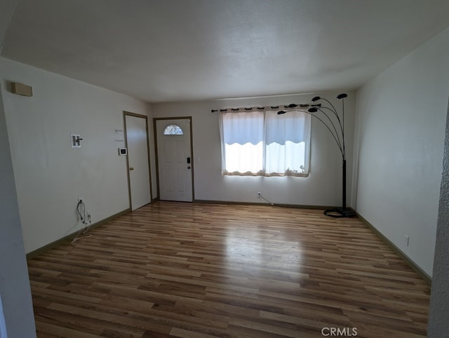 foyer featuring dark wood-type flooring