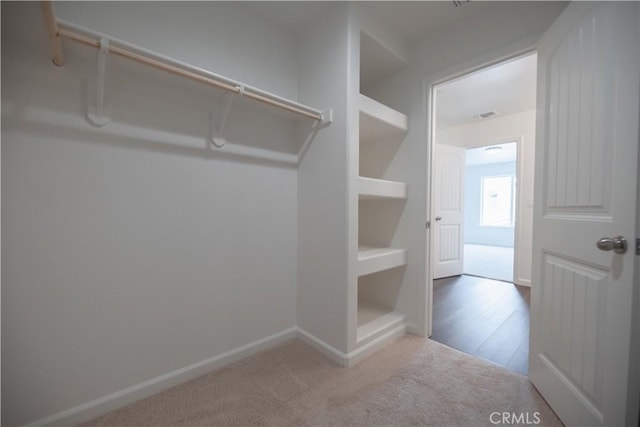 walk in closet featuring carpet flooring