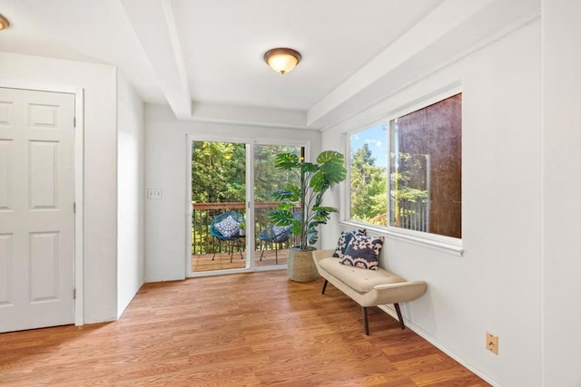 sitting room with light hardwood / wood-style floors and a raised ceiling