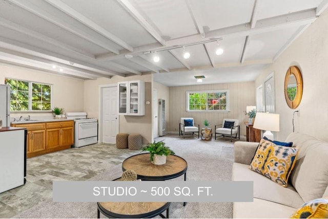 carpeted living room with sink, wooden walls, and track lighting