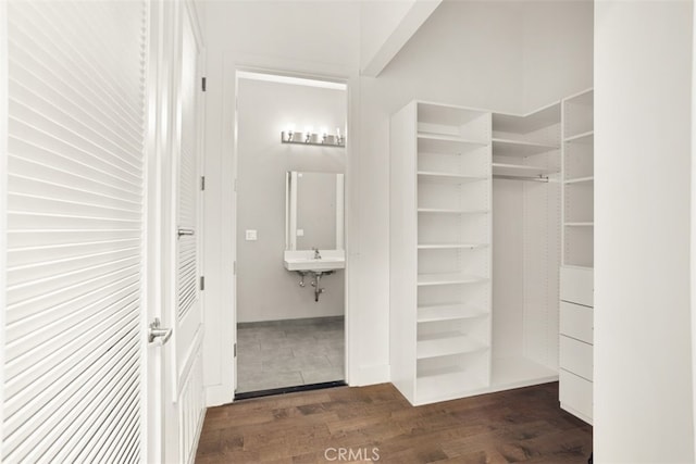 walk in closet with sink and dark wood-type flooring