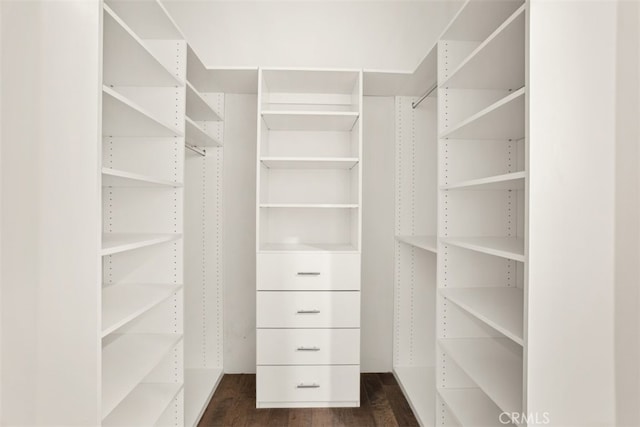 spacious closet featuring dark wood-type flooring