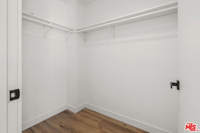 spacious closet with dark hardwood / wood-style flooring