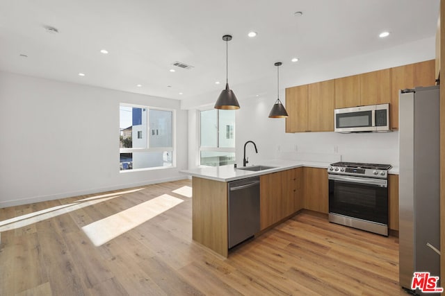 kitchen with kitchen peninsula, appliances with stainless steel finishes, and light wood-type flooring