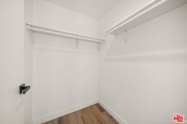 spacious closet featuring wood-type flooring