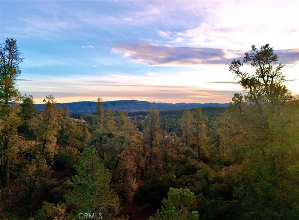 0 Holly Trl, Frazier Park, CA 93225 - photo 2