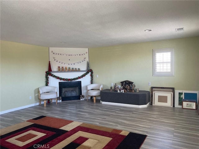 living room with a textured ceiling and hardwood / wood-style flooring