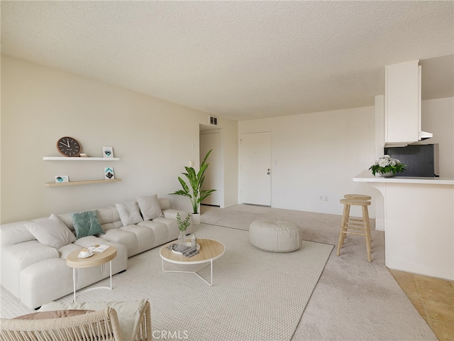 living room featuring light carpet and a textured ceiling