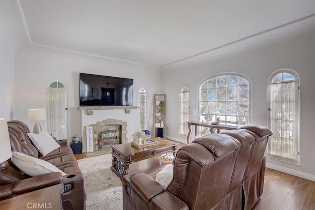 living room with light hardwood / wood-style floors