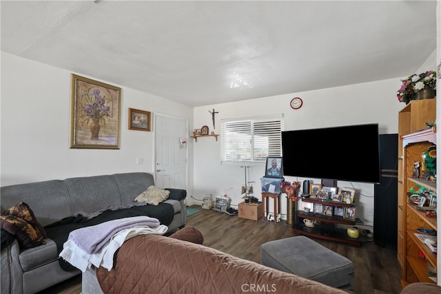 living room with dark hardwood / wood-style floors