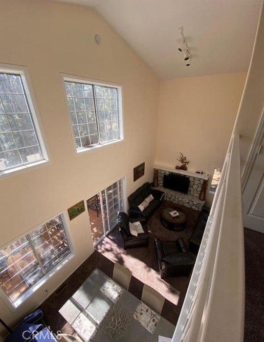 bathroom with plenty of natural light and vaulted ceiling