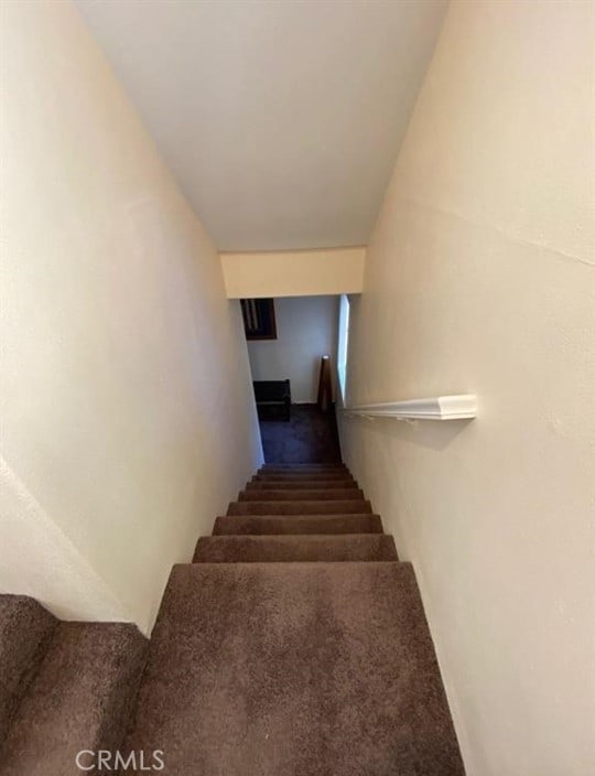 stairs featuring carpet