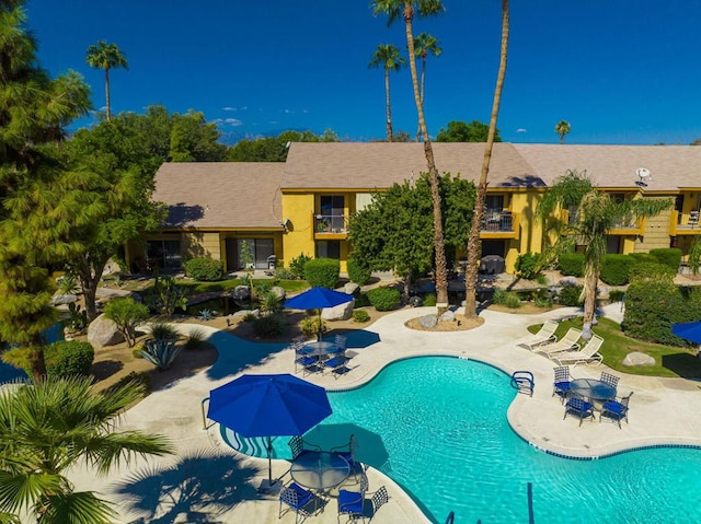 view of swimming pool with a patio