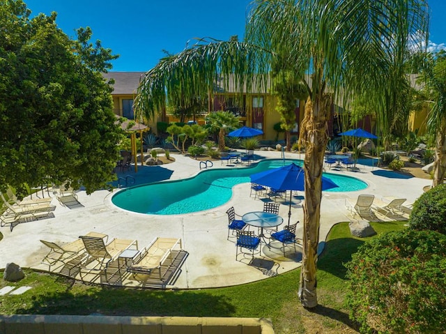 view of pool featuring a patio