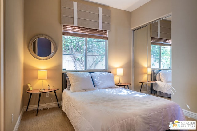 bedroom featuring carpet floors and a closet