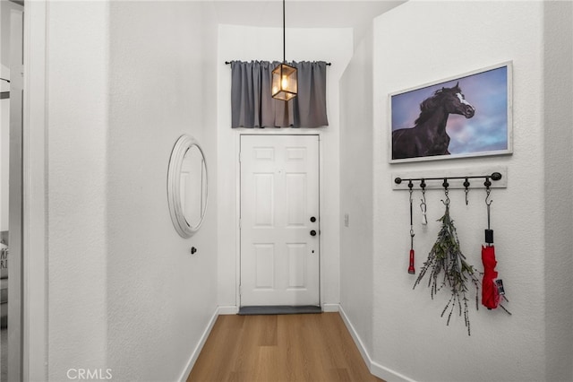 entryway featuring hardwood / wood-style floors