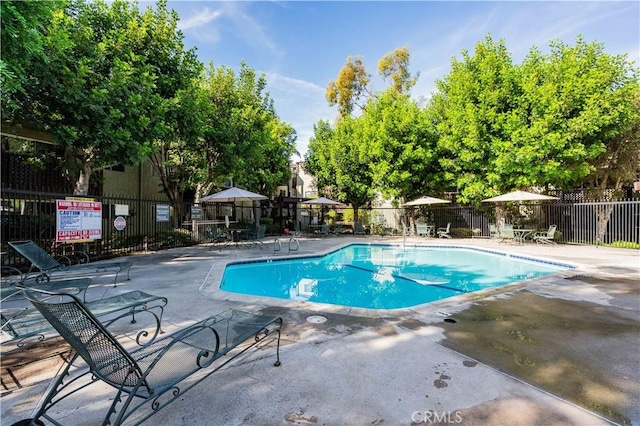 view of swimming pool featuring a patio area